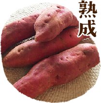熟成
