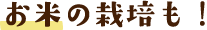 お米の栽培も!