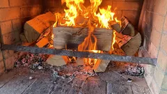 家庭で燃やしてはいけない木材の種類：これらの木材は熱を放出しません